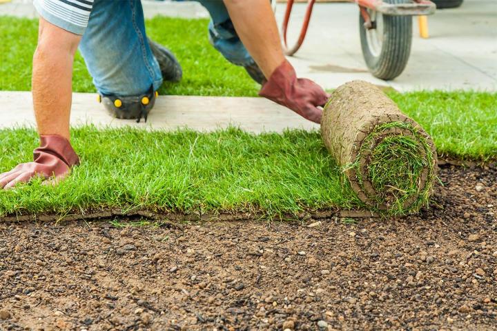 Travaux de création paysagère à Quimper