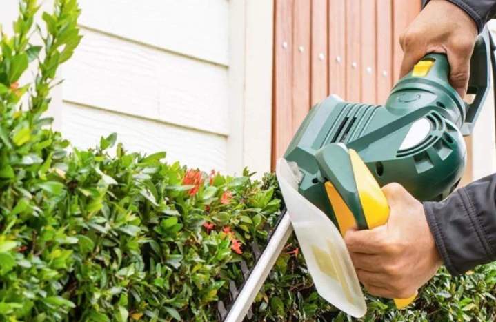 Entretien de jardin à Quimper