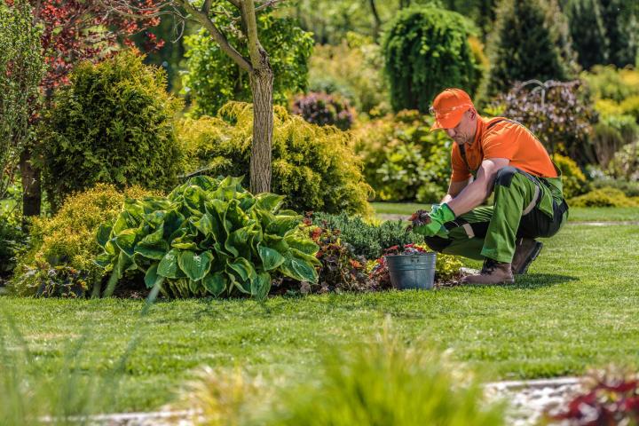 Entretien de jardin Quimper